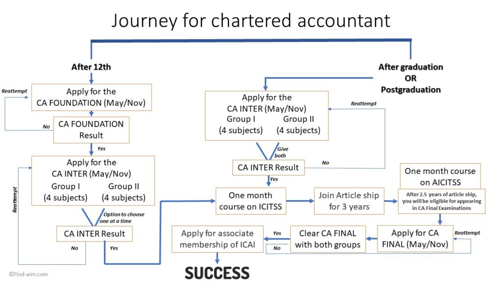 Chartered Accountant Work In Hindi 