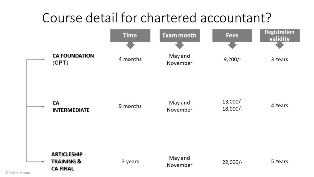 Chartered Accountant Work In Hindi 